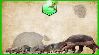 Armadillo Size Comparison Living Extinct [upl. by Occer597]