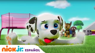 PAW Patrol  ¡Día superdivertido arriba arriba y vamos  Nick Jr en Español [upl. by Urban271]