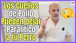 🔴 INCREIBLE DESCUBRIMIENTO 🔴 PARALISIS EN PERROS POR INTOXICACIÓN CON CUELLOS DE POLLO [upl. by Lehcer274]