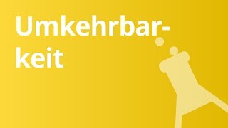 Chemische Reaktionen Umkehrbarkeit der Redox Teilreaktion  Chemie [upl. by Okier]