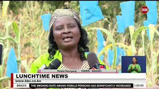 Farmers in Makueni adopt drought resistant crops [upl. by Acnalb]