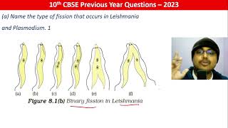 Name the type of fission that occurs in Leishmania and Plasmodium 1 [upl. by Hecker879]