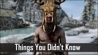 Skyrim 5 Things You Probably Didnt Know You Could Do  The Elder Scrolls 5 Secrets Part 13 [upl. by Robi]