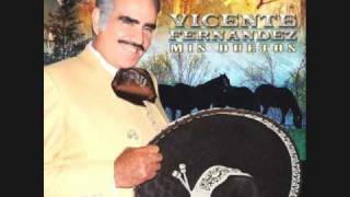 VICENTE FERNANDEZ no hay nada completo [upl. by Donahoe]