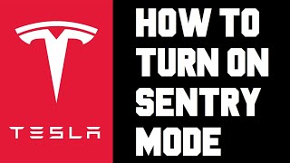 Tesla How To Turn on Sentry Mode  Sentry Mode How To Change Setting Tesla Video Guide [upl. by Moffat]