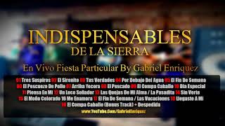 Indispensables De La Sierra  Fiesta Privada DISCO COMPLETO [upl. by Nyllek320]