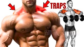 12 BEST TRAPS EXERCISES TO GET BIGGER BACK FAST  MUSCULATION DES TRAPEZES RÉSULTAT RAPIDE [upl. by Allimac86]