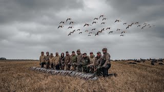 GOOSE HUNTING IN 70 MPH WINDS 85 BIRDS [upl. by Kelley]