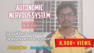 4 Autonomic Nervous System in Tamil  Vasanth Murugesan [upl. by Mychal190]