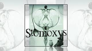 Stomoxys  Enjambre [upl. by Lienaj]