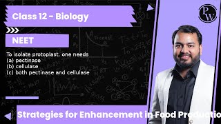 To isolate protoplast one needs a pectinase b cellulase c both pectinase and cellulase [upl. by Aiuqal]