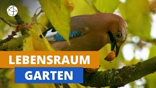 Leben im Garten  zu allen Jahreszeiten  Planet Schule [upl. by Skantze]