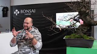 Collecting Yamadori Bonsai by Mauro Stemberger [upl. by Sualkcin995]