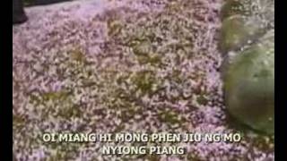 Bui se fo thai  Hakka song [upl. by Early600]