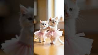 Ballet Cats Adorable Feline Ballerinas on Their Toes cat azl [upl. by Llenrup]