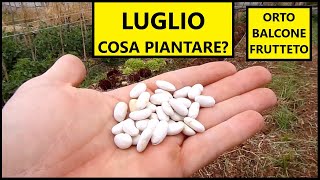 Cosa piantare nel mese di LUGLIO nellOrto e nel Frutteto  Tutorial Agricoltura [upl. by Willy]