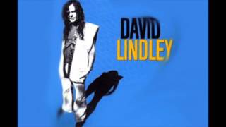 David Lindley Aint No Way Reggae [upl. by Ramey]