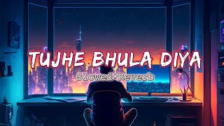 Tujhe Bhula Diya  Anjaana Anjaani  Ranbir Kapoor  Priyanka Chopra  Rb Lofi 90  SlowedReverbâœ¨ðŸ©µ [upl. by Issi]