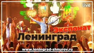 Ленинград — Экспонат Live 2024 [upl. by Neelyar]