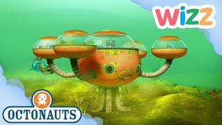 Octonauts  Octopod Sewage Disaster  Full Episode  Cartoons for Kids  Wizz [upl. by Einnov554]