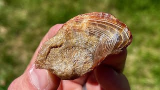 Turning Rough Agate into Polished Specimen Lapidary Gem Polishing [upl. by Platus725]