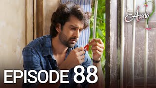 Amla Episode 88  Hindi Drama  Kya Qusoor Hai Amala Ka [upl. by Amor917]