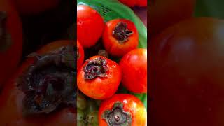 Persimmons Fruits🍅🍅  Japan Fruit  fruit persimmons satisfying shorts shortsviral short 4k [upl. by Atiekahs922]