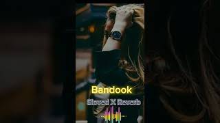 Bandook  Slowed X Reverb  Ft Nirvair Pannu  Full Song Lofi Versionlikeandsubscribe [upl. by Etteniotnna]