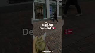 Kolding City in Denmark 🇩🇰denmark travel kolding shortvideo youtubemusic vlog youtubeshorts [upl. by Shaw600]