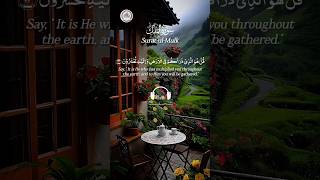 Surah AlMulk  Beautiful Quran Recitation  سورة الملك youtubeviralvidio [upl. by Elysha]