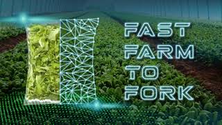 La Linea Verde Fast Farm to Fork [upl. by Einwahs73]