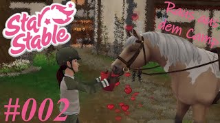 New Codes⚠️STAR STABLE REDEEM CODES 2024  STAR STABLE CODES  SSO CODES [upl. by Tulley570]