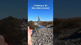 Crabbing at Matt’s Landing NJ  FULL VIDEO PREVIEW gopro crabbing njshore fishing newjersey nj [upl. by Assilev439]