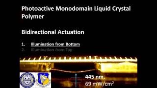 Photoactive Monodomain Liquid Crystal Polymer [upl. by Desmund719]