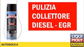 COME E QUANDO PULIRE IL COLLETTORE DI ASPIRAZIONE DIESEL  Liqui Moly Pro Line spray EGR [upl. by Pentheas]