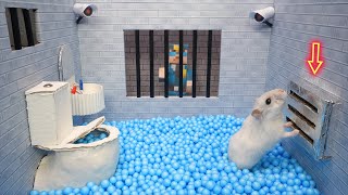 🐹Best of Hamster Adventures Prison Maze 🛑Live Stream for pets in real life [upl. by Snilloc807]