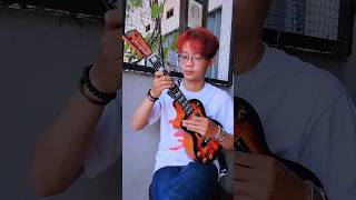 Wedding Bell by Depapepe depapepe weddingbells ukulele ukebasquad mahalo [upl. by Swayder]