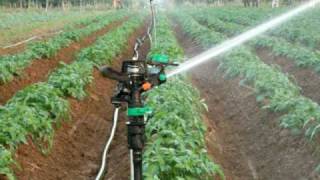 a spriklers system I instaled in India for Jain irrigation co [upl. by Aveline]