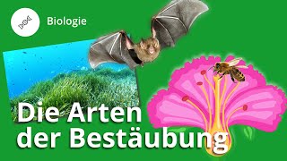 Arten der Bestäubung so vermehren sich Pflanzen – Biologie  Duden Learnattack [upl. by Nafri923]