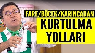 Evde böcekfare ve karıncadan kurtulma yolları [upl. by Bendick]