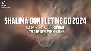 Shalima Dont Let Me Go Remix 2024 DJ Fairley amp DJ Espiral [upl. by Lusar]