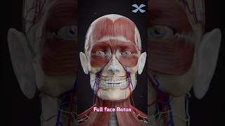 Full face neurotoxin treatment botox skincare facelift neurotoxin eyelift wrinklereduction [upl. by Akers]