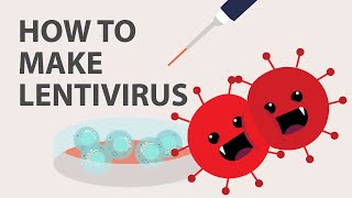 The Basics of Lentivirus ProductionPackaging Protocol Tips and more [upl. by Ydde]