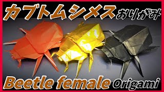 カブトムシメスおりがみBeetle female Origami甲虫女性折纸딱정벌레 여성 종이 접기 [upl. by Griswold]