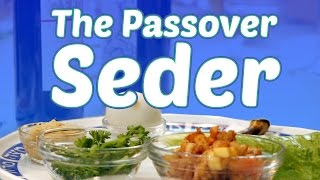 The Passover Seder What to Expect [upl. by Towroy]