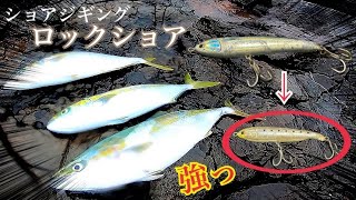 【ロックショア】サイズ落としてクリアカラーにしたら青物が即食いだった！！（ショアジギング） [upl. by Eirhtug]