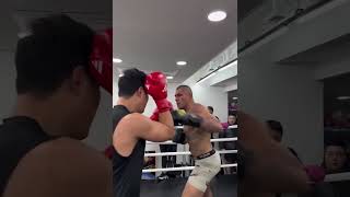 Boxer goes toetotoe with UFC champ Alex Pereira during a South Korea gym session 😳 Boxing MMA [upl. by Repinuj]