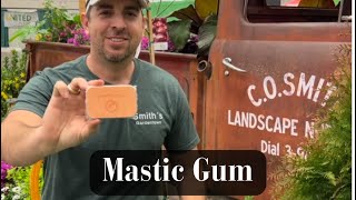 Mastic Gum [upl. by Behm161]