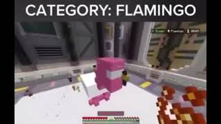 Flamingo builds in Minecraft [upl. by Rogers]