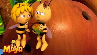 Maya and Willi on a Pear Hunt  Maya the Bee🐝🍯🐝 [upl. by Janis]